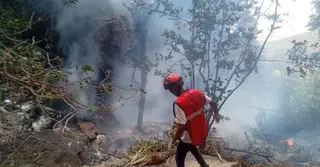 কেনিয়ায় হেলিকপ্টার দুর্ঘটনায় ইকুয়েডরের গোয়েন্দা প্রধান ও তার স্ত্রীসহ নিহত ৭